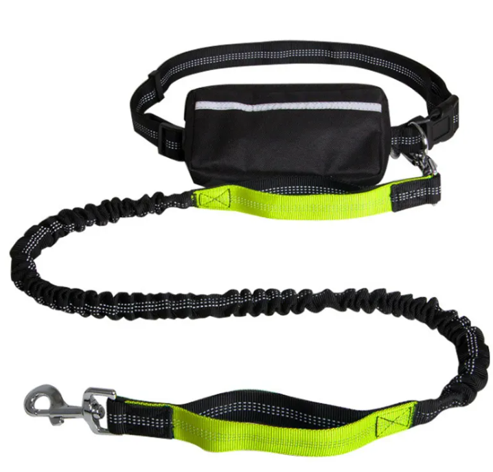 Reflective Hands-Free Dog Lead