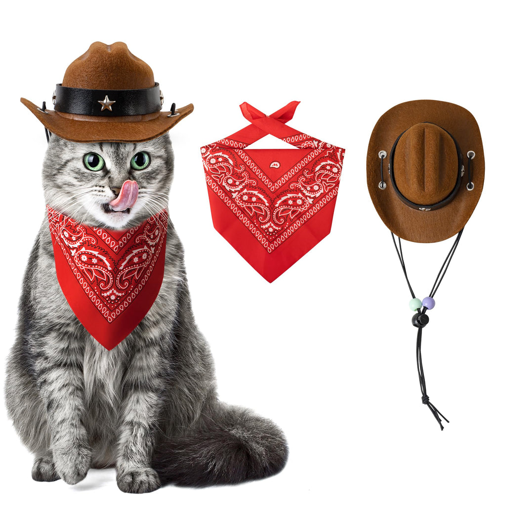 Cat Cowboy Halloween Costume