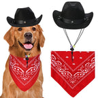 Pup Cowboy Costume