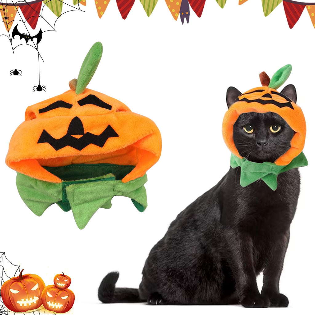 Pumpkin Patch Pet Hat