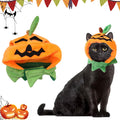 Pumpkin Patch Pet Hat