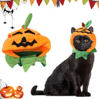 Pumpkin Patch Pet Hat