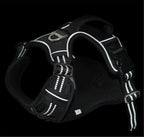 All-Weather Comfort Pet Harness