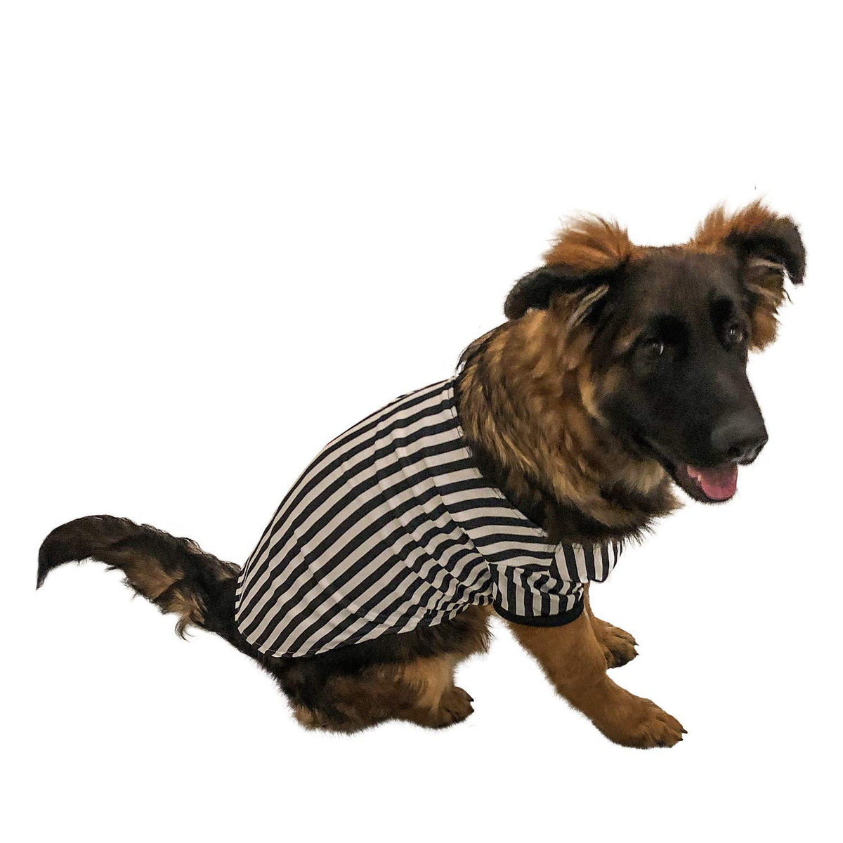 Referee Pup Outfit (Large)