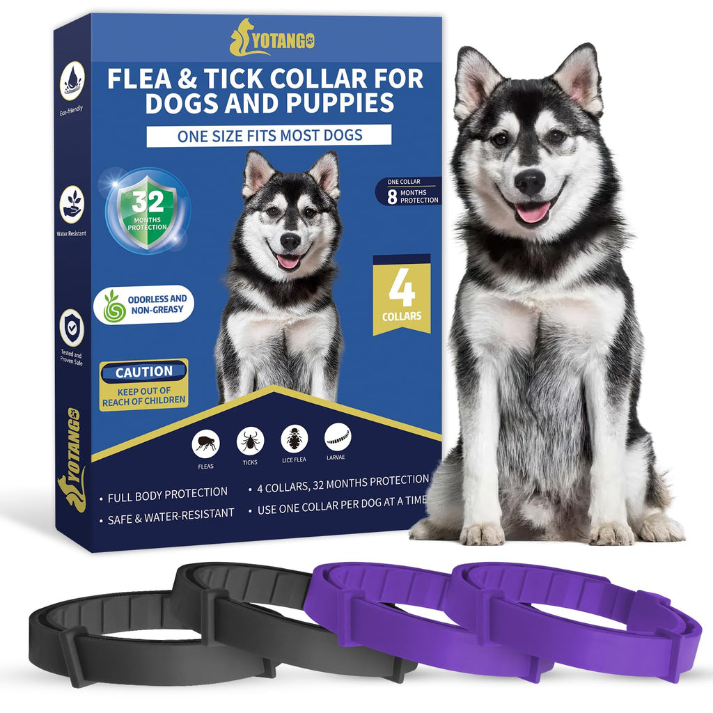 32-Month Flea & Tick