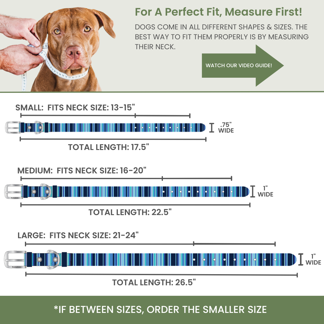 Waterproof Dog Collars