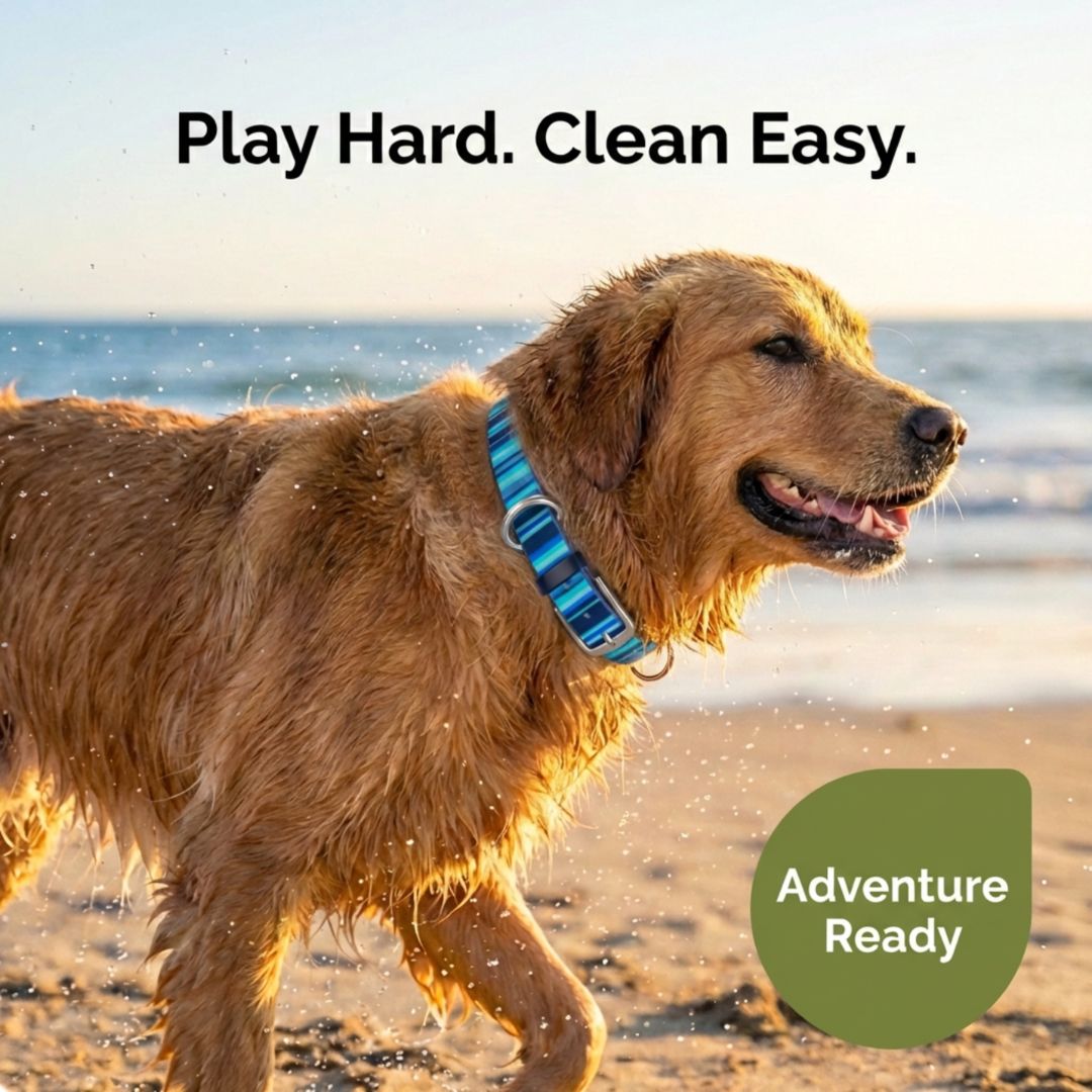 Waterproof Dog Collars