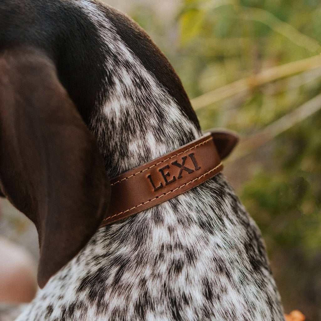Handcrafted Leather Dog Collar – Full-Grain with Lifetime Guarantee