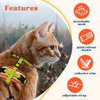 Cat Harness and Leash Set