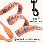 Cat Harness and Leash Set