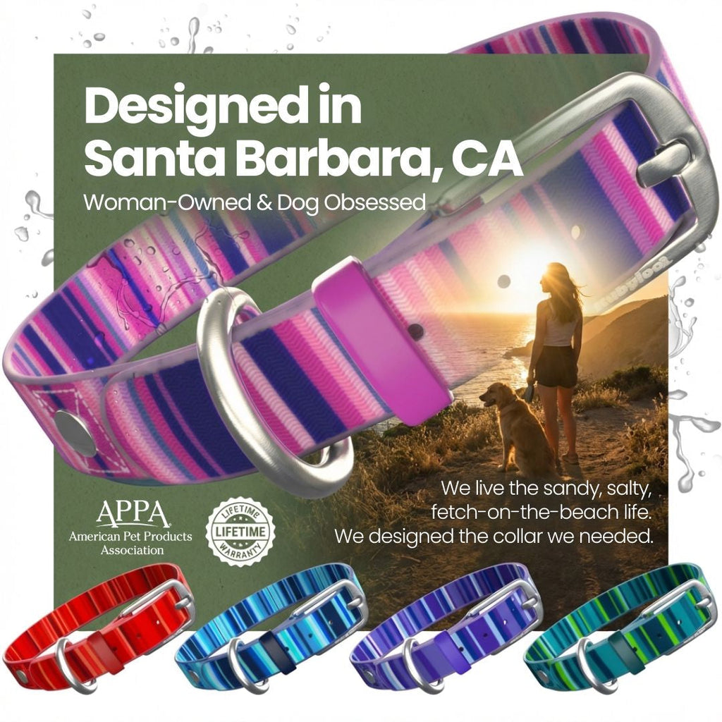 Waterproof Dog Collars