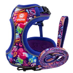 Cat Harness and Leash Set