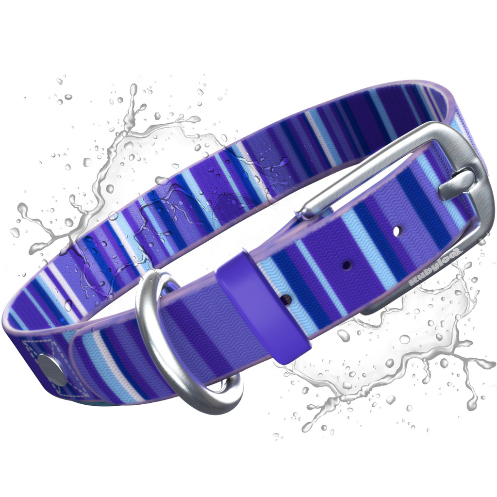 Waterproof Dog Collars