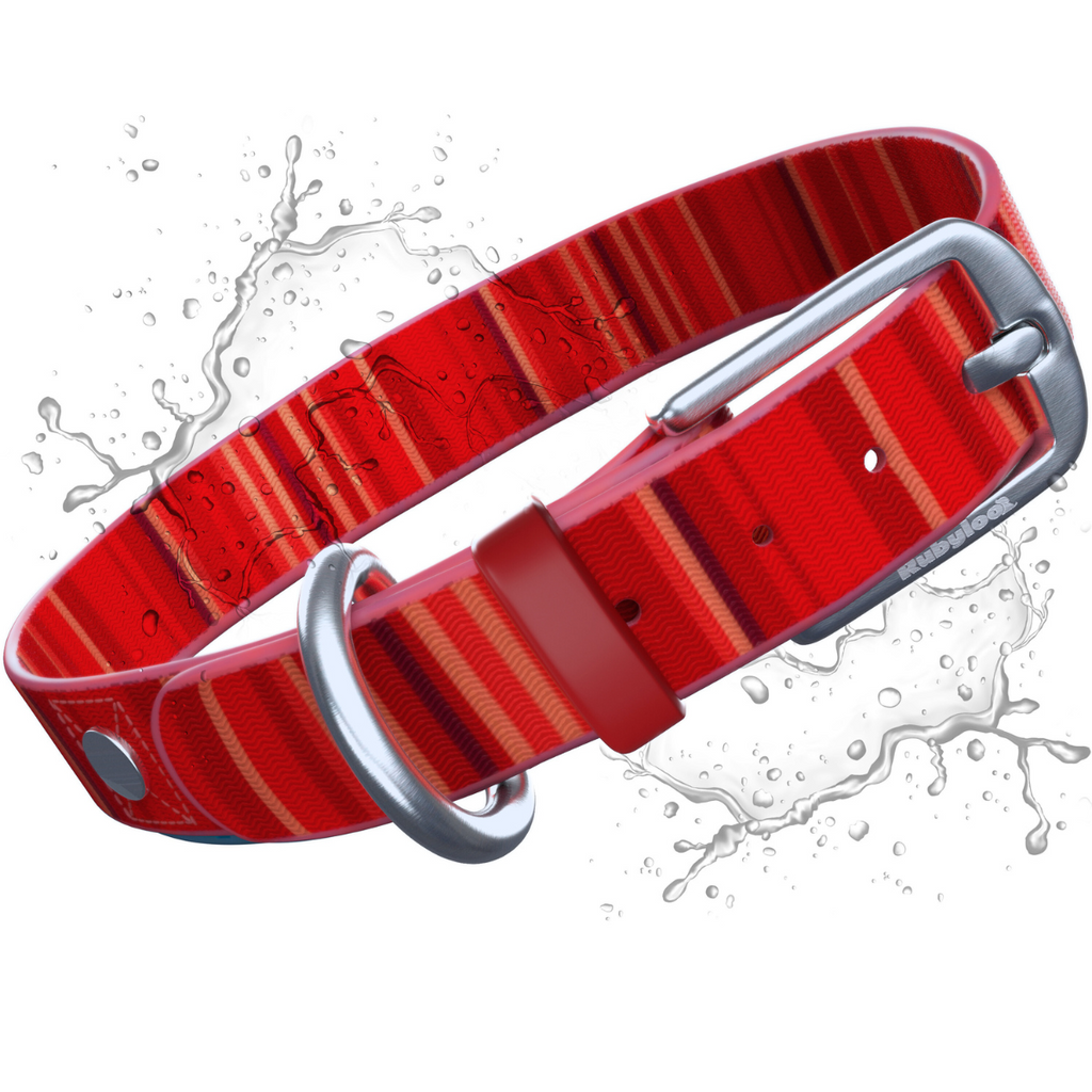 Waterproof Dog Collars