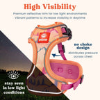 Cat Harness and Leash Set