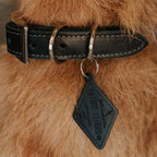 Handcrafted Leather Dog Collar – Full-Grain with Lifetime Guarantee