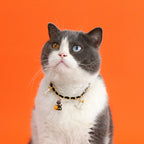 Velvet Bat Halloween Cat Collars