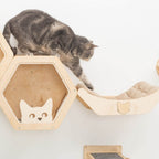 Wall-Mounted Cat Bed