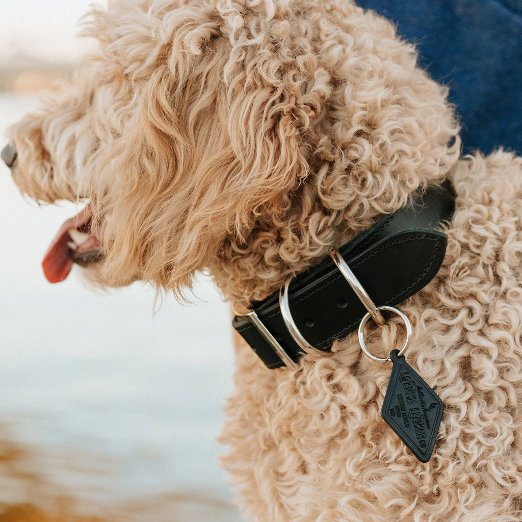 Handcrafted Leather Dog Collar – Full-Grain with Lifetime Guarantee
