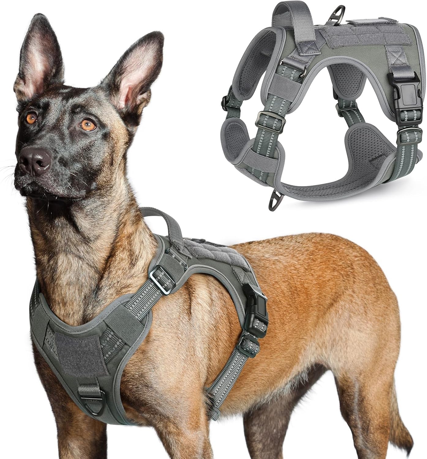 Tactical No-Pull Dog Harness
